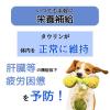 「【ワゴンセール】わんわんカロリー パワー 3ヶ月から ミルク風味 275ml 1本  栄養補給（わけあり品）」の商品サムネイル画像3枚目