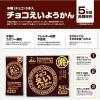 「【ワゴンセール】【旧パッケージ】【日々の備え】 井村屋 えいようかん チョコえいようかん  5年 1組（5本入）（わけあり品）」の商品サムネイル画像6枚目