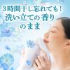 「ボールドジェル 液体 フレッシュフラワーサボン 詰め替え 超ジャンボ 1360g 2個 洗濯洗剤 P＆G【旧品】」の商品サムネイル画像6枚目