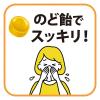 「キャンディ 邪払のど飴 糖質50%オフ 約16粒入 72g 1個」の商品サムネイル画像4枚目