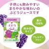 「【ロハコ限定】カゴメ果汁100% りんご＆ぶどうジュース100ml 飲み比べセット【お試し】 オリジナル」の商品サムネイル画像8枚目