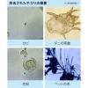 「Ionic Breeze IB GRANDE カフェモカ [ IU867 CM] 59109 1台」の商品サムネイル画像8枚目