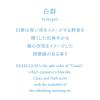 「大香 お香  AO Incense 白群（びゃくぐん） お香 インセンス   1セット（お香30本／香立て1個）」の商品サムネイル画像2枚目