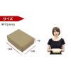 「【60サイズ】N式（差し込みタイプ） ダンボール箱 1梱包（10枚入）160×120×45mm NO449 logimart」の商品サムネイル画像2枚目