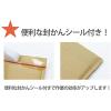 「logimart クッション封筒 茶 DVDサイズ NO2 開封テープ付 1セット（300枚） NO200z190-1」の商品サムネイル画像8枚目