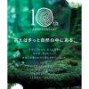 「BOTANIST（ボタニスト）ボタニカルシャンプー ダメージケア 詰替（大容量） 1200ml I-ne」の商品サムネイル画像9枚目
