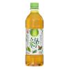 「緑茶　ペットボトル　アイリスフーズ アイリスのお茶 500ml 1セット（6本）」の商品サムネイル画像2枚目