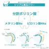 「ポリリン ホワイトニングキューブ 5個入 リジェンティス ホワイトニングスポンジハミガキ」の商品サムネイル画像4枚目