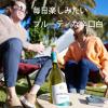 「父の日 ギフト オーストラリア ジェイコブスクリーク シャルドネ 白ワイン 辛口 750ml 1本 ペルノリカール」の商品サムネイル画像3枚目