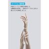 「Anker USB Type-Cケーブル 1.8m 240W 絡まないシリコン PowerLine III ホワイト 1本」の商品サムネイル画像2枚目