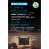 「Anker Portable Power Station 1000 A1762N61-72 1台」の商品サムネイル画像6枚目
