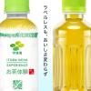 「【ワゴンセール】伊藤園 お茶体験 ラベルレス 200ml 1箱（30本入）（わけあり品）」の商品サムネイル画像3枚目