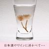 「スイートサクラティー 桜花 1箱（4個入） 桜茶 個包装」の商品サムネイル画像7枚目