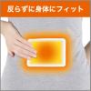 「はるオンパックス 衣類に貼るカイロ 1セット（30個入×2箱） エステー」の商品サムネイル画像3枚目