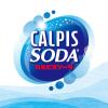 「【ワゴンセール】カルピス　カルピスソーダ　1.5L　1セット（2本）（わけあり品）」の商品サムネイル画像2枚目