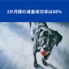 「【ワゴンセール】ヒルズ プリスクリプションダイエットドッグフード メタボリックス 小粒 体重管理 犬用 特別療法食 3k（わけあり品）」の商品サムネイル画像4枚目