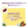 「ナイトミン 眠る力 快眠サポートサプリ 約20日分（20粒入り） 1セット（2袋） 【小林製薬の機能性表示食品】」の商品サムネイル画像7枚目