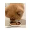「お買い得 ふりかけ 鶏ささみ シニア 小粒タイプ 230g 1袋 九州ペットフード ドッグフード 犬」の商品サムネイル画像3枚目