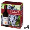 「父の日 ギフト スペイン　サルー カベルネ・ソーヴィニヨン 3L 赤ワイン　フルボディ 1セット（1本×4）　日本酒類販売」の商品サムネイル画像1枚目