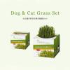 「グリーンラボ（GREENlobo）ペットグラス 犬と猫が好きな草 栽培セット 6個 猫草 エイムクリエイツ」の商品サムネイル画像4枚目