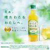 「【機能性表示食品】キリンビバレッジ 生茶　からだ晴れ茶 免疫ケア＜プラズマ乳酸菌＞ 525ml 1箱（24本入）（イチオシ）」の商品サムネイル画像3枚目