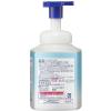 「ビオレガード 薬用泡で出る 消毒液 本体 420ml、つめかえ 700ml セット　花王」の商品サムネイル画像3枚目