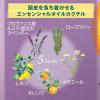 「L’OCCITANE（ロクシタン）ファイブハーブス バランシング コンボ（シャンプー 500mL+コンディショナー 500mL）」の商品サムネイル画像4枚目