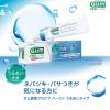 「歯磨き粉 ガム 歯周プロケアペースト うるおいタイプ 85g 1セット（3本）サンスター GUM 原因菌を殺菌 歯周病 高濃度フッ素」の商品サムネイル画像2枚目