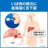 「ヘモリンド舌下錠 40錠 小林製薬【第2類医薬品】」の商品サムネイル画像4枚目