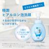 「【3+1】肌ラボ 極潤 ヒアルロン泡洗顔 詰替 140mL　1セット（3+1個） ロート製薬」の商品サムネイル画像5枚目