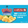 「5個パック ポテトチップス じゃがいもと塩 2袋 湖池屋 スナック菓子 おつまみ」の商品サムネイル画像5枚目