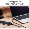 「Type-Cケーブル USB C-C PD対応 60W USB2.0 1m 黒 U2C-CC10NBK2 エレコム 1本」の商品サムネイル画像2枚目