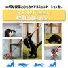 「猫じゃらし ねこモテ ごっつじゃらし アヒル 1個 猫用 玩具 アース・ペット」の商品サムネイル画像4枚目