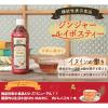 「【機能性表示食品】サーフジャパン サーフビバレッジ ジンジャールイボスティー 500ml 1セット（6本）」の商品サムネイル画像3枚目