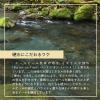 「ギフト クラフトビール 銀河高原ビール 小麦のビール 350ml 1箱(12本入)」の商品サムネイル画像7枚目