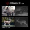 「トレイルカメラ　防犯カメラ　動物・獣害対策　屋外　工事不要　乾電池式　CMS-SC01GY　サンワサプライ　1台」の商品サムネイル画像4枚目