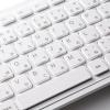 「有線キーボード　メンブレン　スタンダード　ホワイト　SKB-SL16W　サンワサプライ　1個」の商品サムネイル画像8枚目