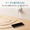 「iPhone 充電器 ライトニング ケーブル同梱 1.0A出力 2.5m ホワイトフェイス MPA-ACL06WF エレコム 1個」の商品サムネイル画像8枚目