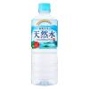 「【アウトレット】チェリオ 鈴鹿山系の天然水 600ml 1セット（6本）」の商品サムネイル画像2枚目