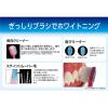 「プレミアムケア ハブラシ 歯の美白 6列レギュラー ふつう ステインリムーバー毛 1本 エビス」の商品サムネイル画像3枚目