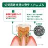 「歯磨き粉 ガム 知覚過敏ラボ デンタルペースト マイルドハーブ 90g 1セット（2本）サンスター GUM 高濃度フッ素配合 歯周病予防」の商品サムネイル画像3枚目