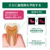 「歯磨き粉 ガム 知覚過敏ラボ デンタルペースト マイルドハーブ 90g 1セット（2本）サンスター GUM 高濃度フッ素配合 歯周病予防」の商品サムネイル画像5枚目