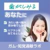 「歯磨き粉 ガム 知覚過敏ラボ デンタルペースト マイルドハーブ 90g 1セット（2本）サンスター GUM 高濃度フッ素配合 歯周病予防」の商品サムネイル画像7枚目