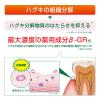 「歯磨き粉 ガム ハグキラボ デンタルペースト メディカルハーブミント 85g 1セット（2本）サンスター GUM 歯周病 高濃度フッ素配合」の商品サムネイル画像5枚目