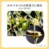 「est（エスト） ザ オイル 50ml」の商品サムネイル画像3枚目