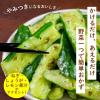 「野菜がうまい！ ねぎ塩ガーリックだれ 鶏がらだし仕立て 300ml 1本 キユーピー」の商品サムネイル画像2枚目
