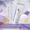 「歯磨き粉 ホワイトニング アパガード プレミオ ラベンダーブーケ 105g サンギ」の商品サムネイル画像5枚目