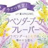 「【数量限定・おまけ付き】 アパガードプレミオ ラベンダーブーケ 105G 1個 ポーチ＆チャーム付き サンギ」の商品サムネイル画像7枚目