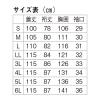 「アイトス メンズドクターコート/LL 861311 1枚　白衣　ドクターコート」の商品サムネイル画像5枚目