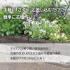 「グリーンパル ガーデンフェンス 土留め 10個組 ダークブラウン 1個」の商品サムネイル画像3枚目